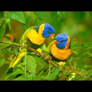 Meet your Posher, Sami